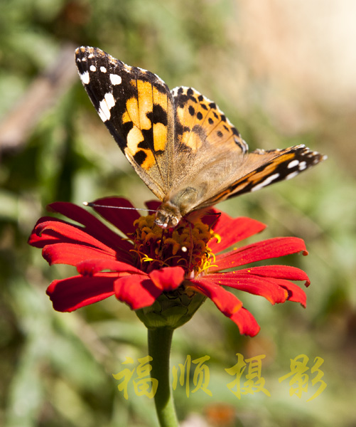 错误是别人加给你的，说你有错误你永远会有。