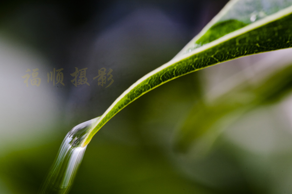 天生我材必有用