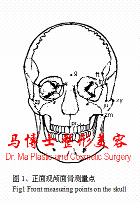 颌面骨正面骨性测量点