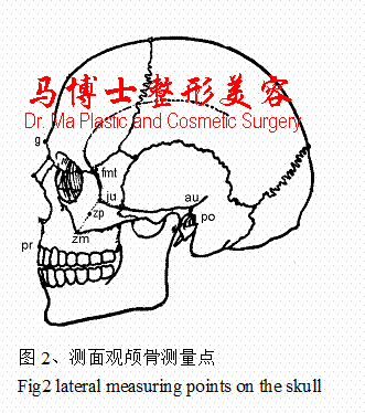 颌面骨侧面骨性测量点