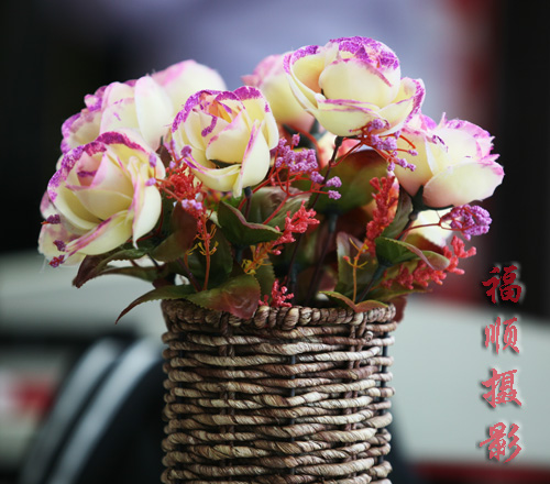 你的美丽是我毕生追求