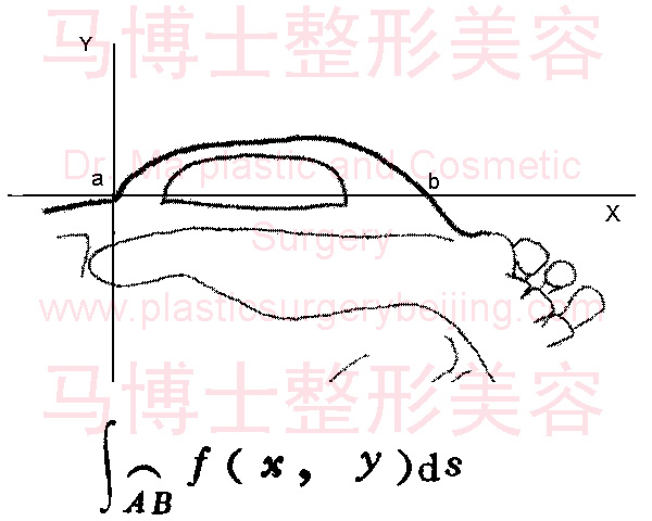 颧弓弧长计算示意图