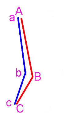 脸型轮廓连线分析